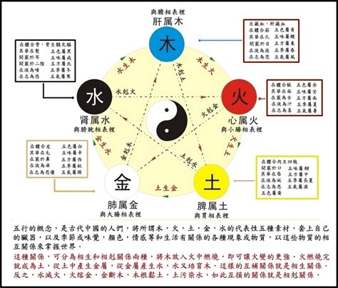 金剋木化解|【金剋木】正確應用方式，五行相生也相剋 